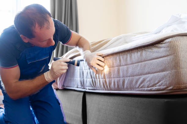 Best Bed Bug Extermination  in Monmouth, IL